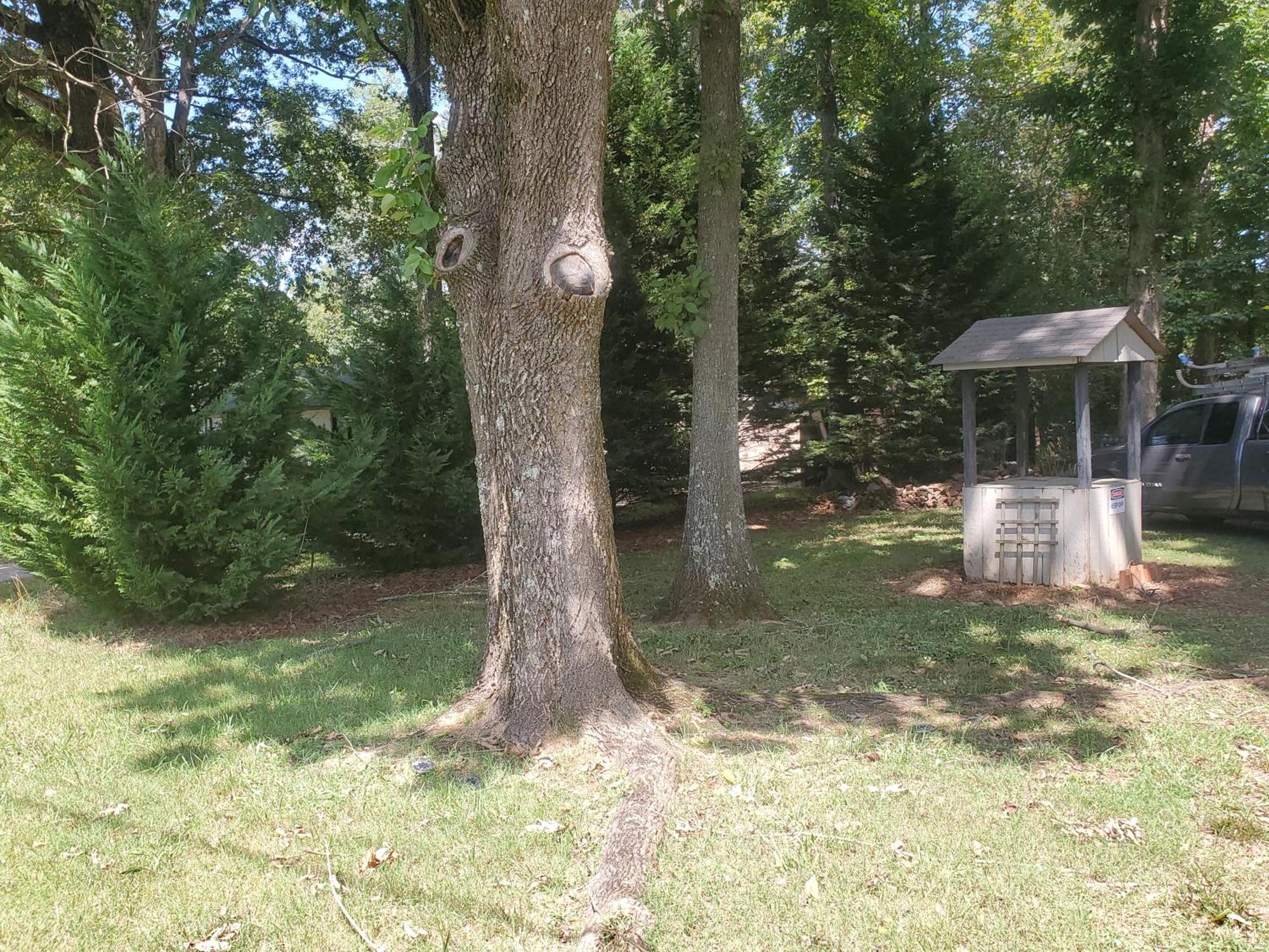 Private Single Level Standalone House Large Lot - 3 Bedrooms Charlotte Exterior photo